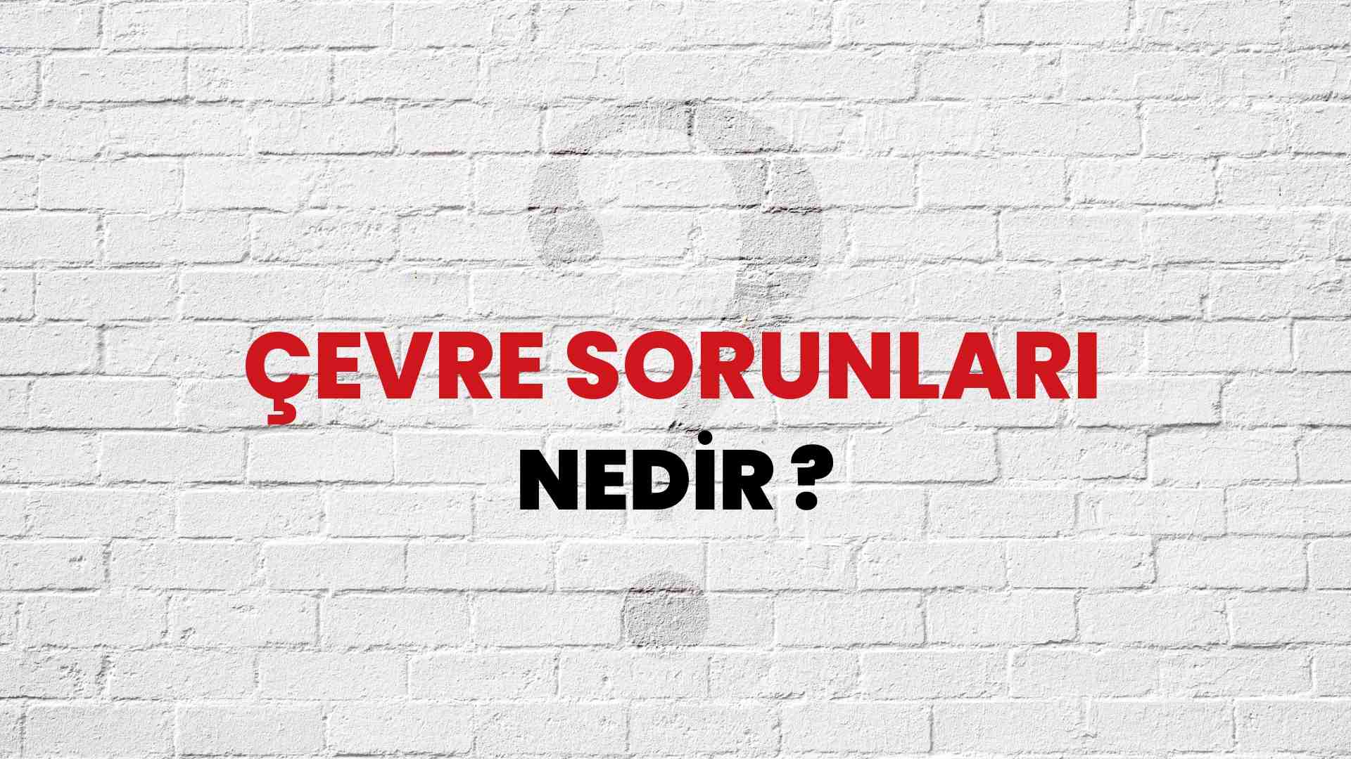 Çevre Sorunları nedir?