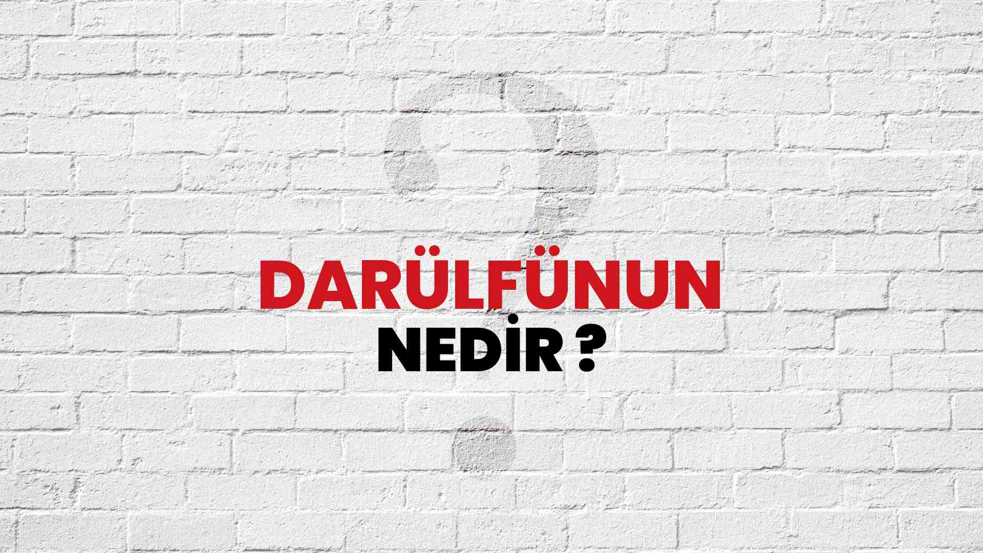 Darülfünun nedir?