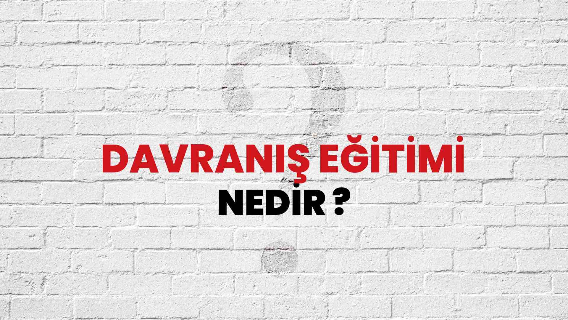 Davranış Eğitimi nedir?