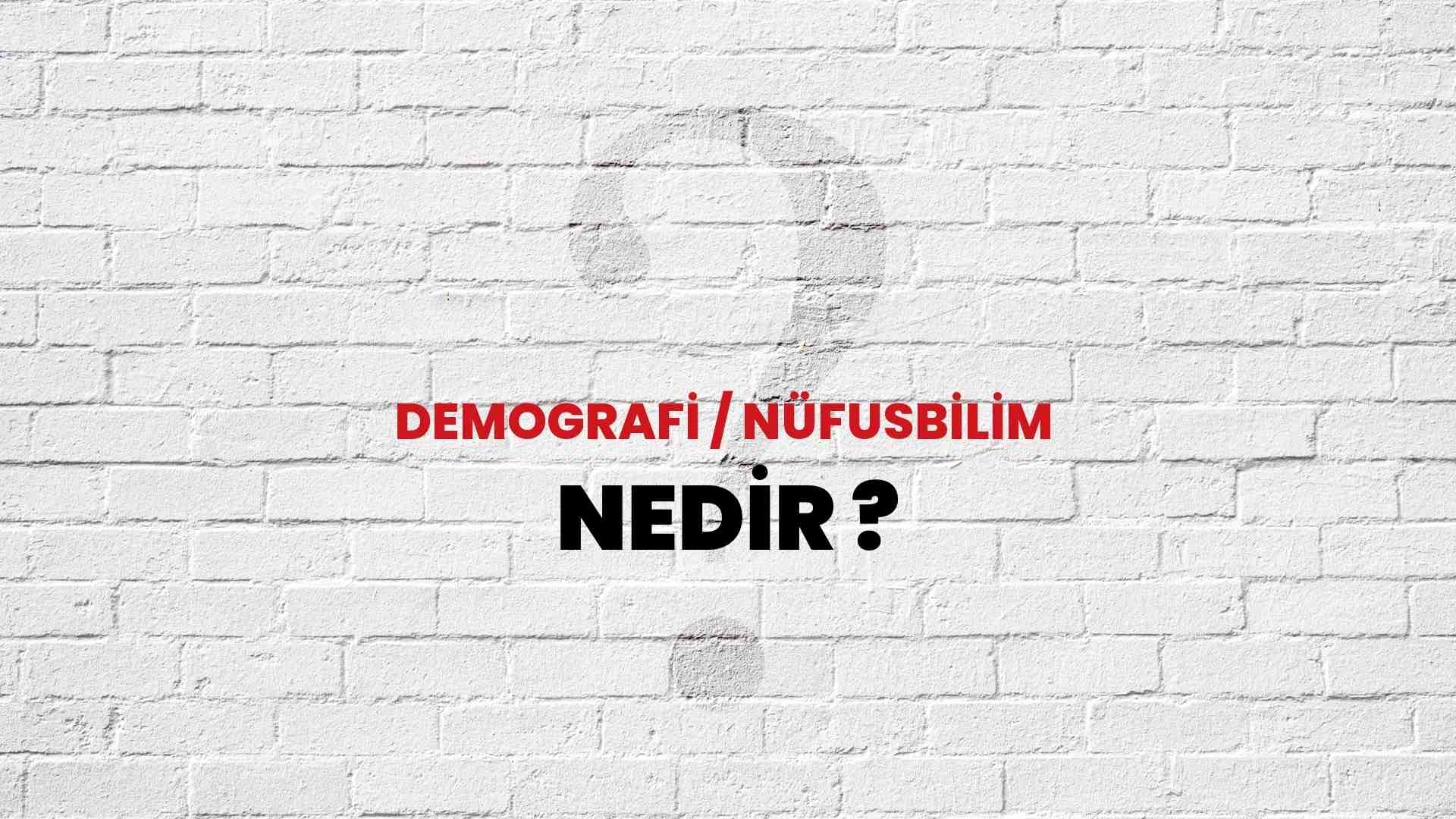 Demografi / Nüfusbilim nedir?