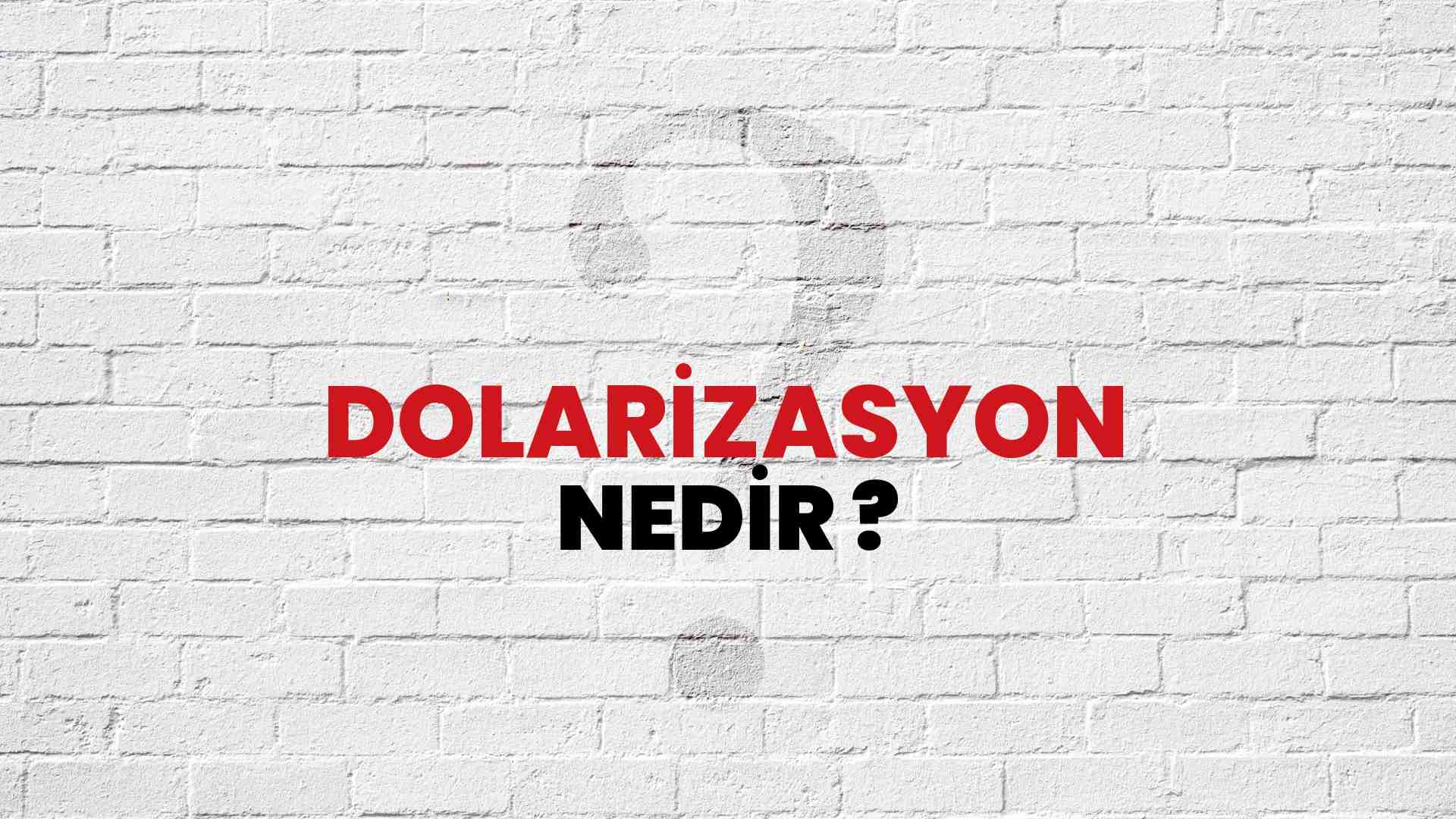 Dolarizasyon nedir?