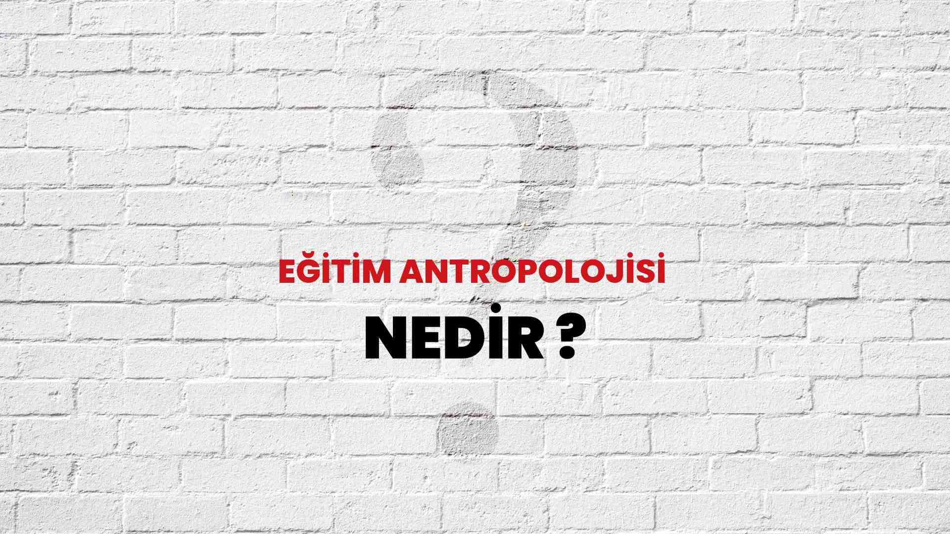 Eğitim Antropolojisi nedir?