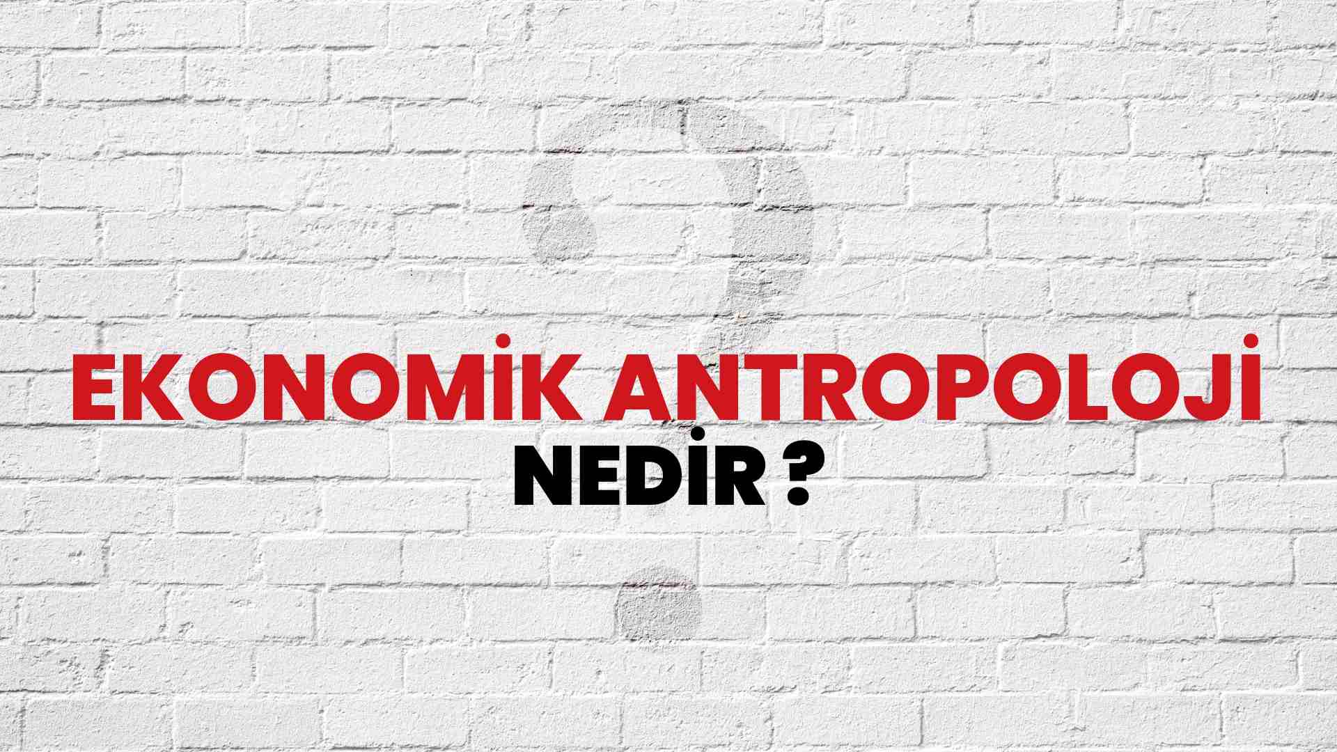 Ekonomik Antropoloji nedir?