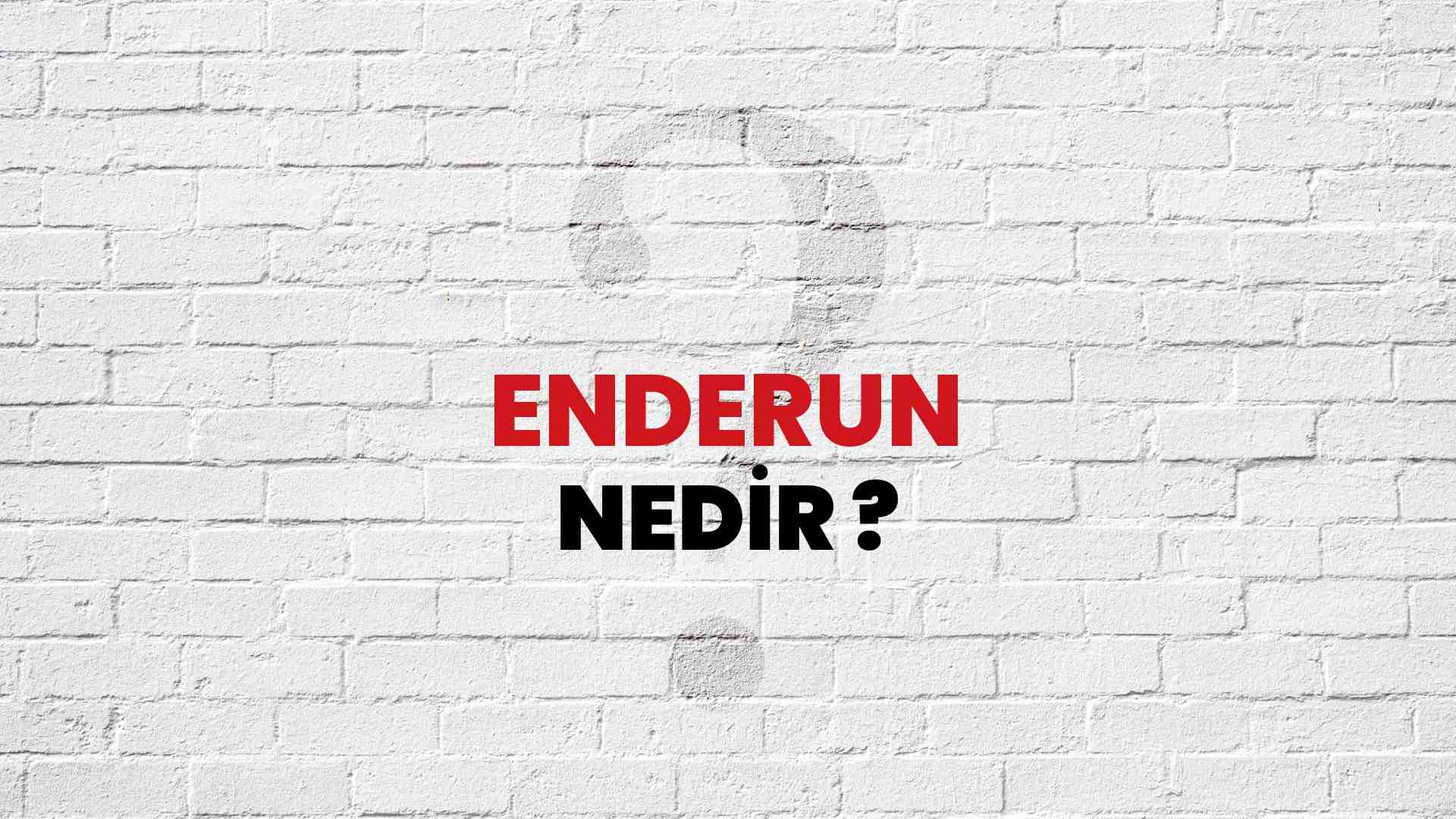 Enderun Nedir Ne Demek T B TAK Ansiklopedi Ile Enderun Ne Anlama 