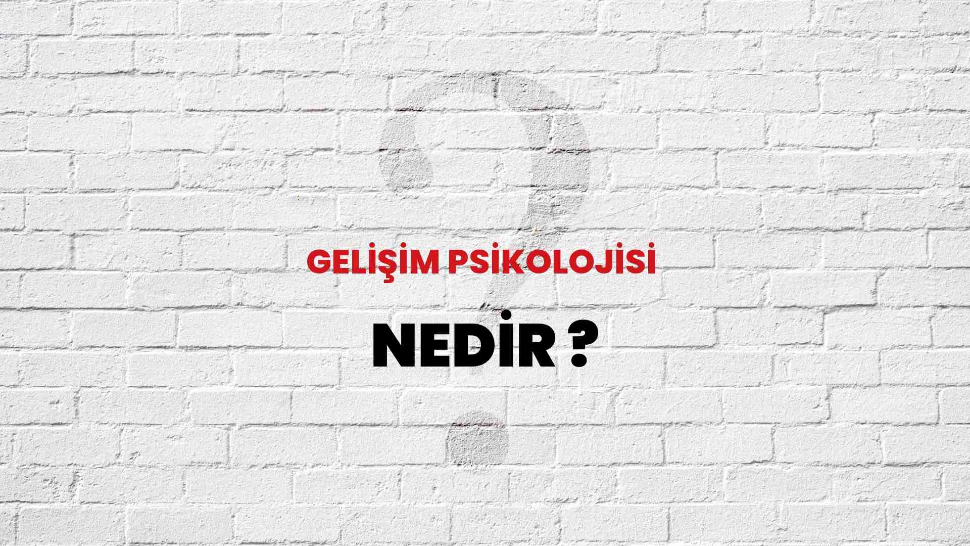 Gelişim Psikolojisi nedir?
