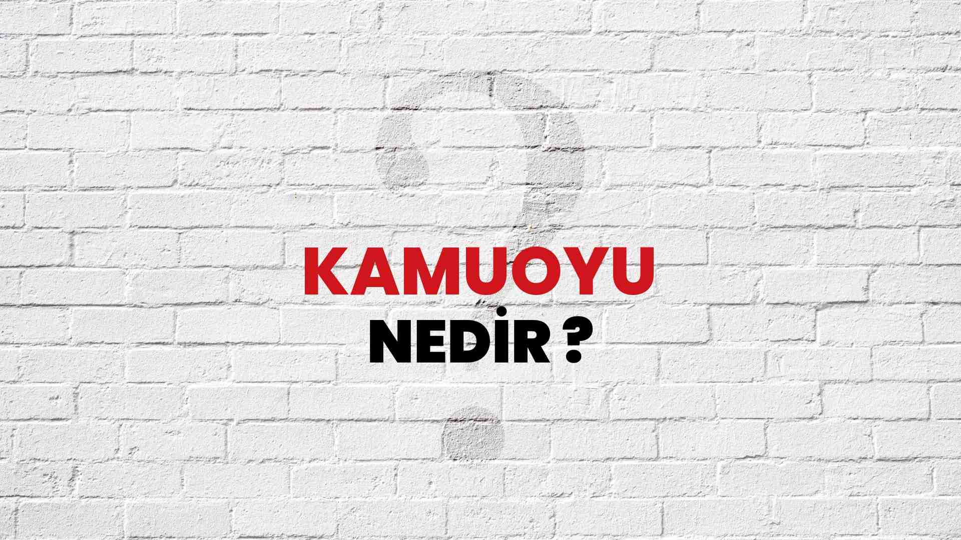 Kamuoyu nedir?