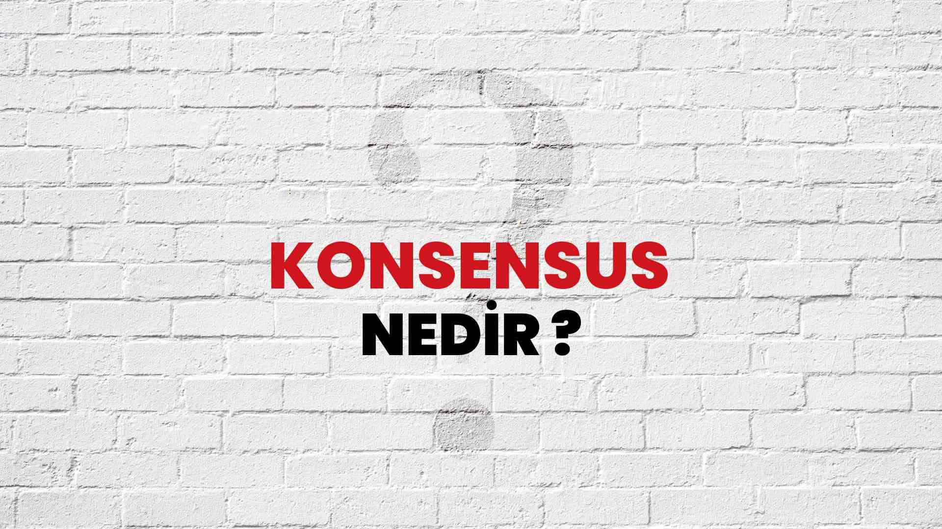 Konsensus nedir?