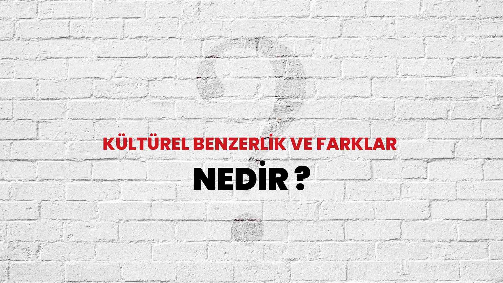 k-lt-rel-benzerlik-ve-farklar-nedir-ne-demek-t-b-tak-ansiklopedi-ile