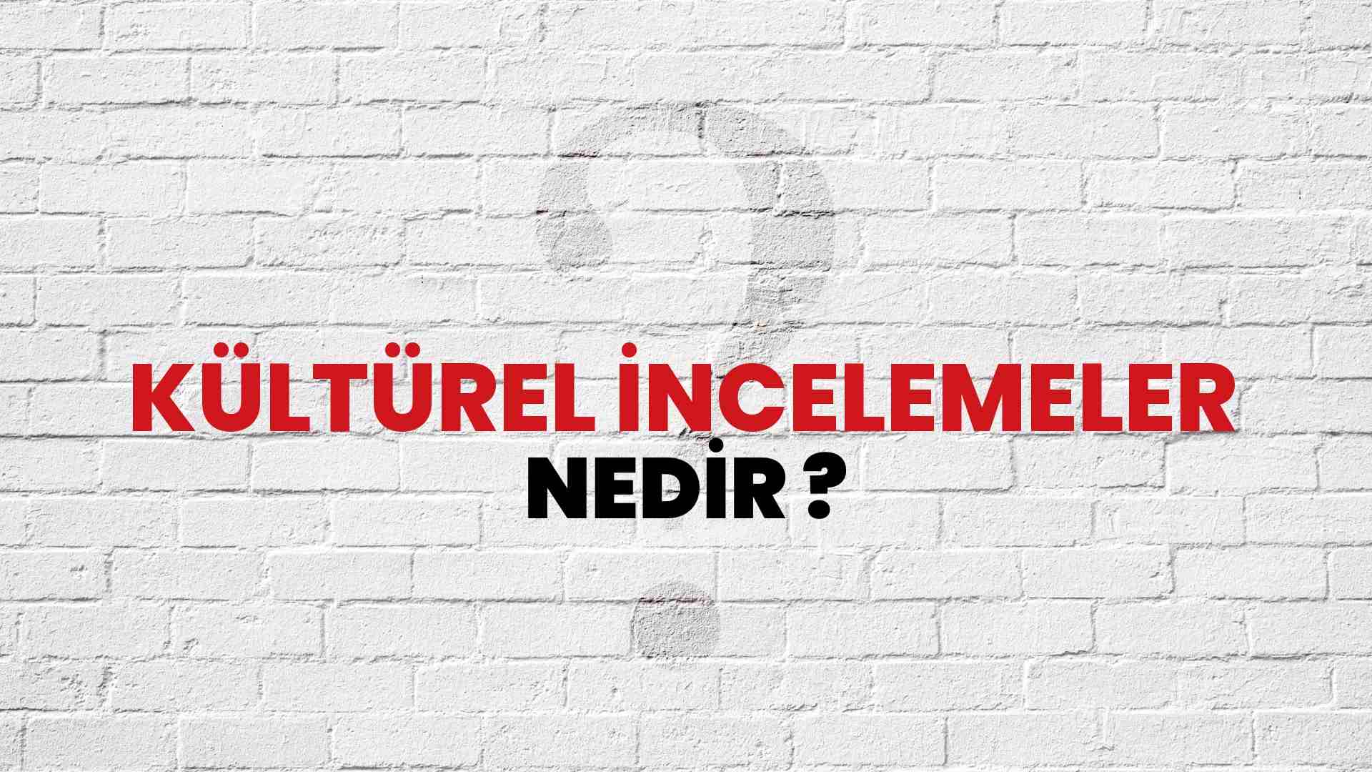 Kültürel İncelemeler nedir?