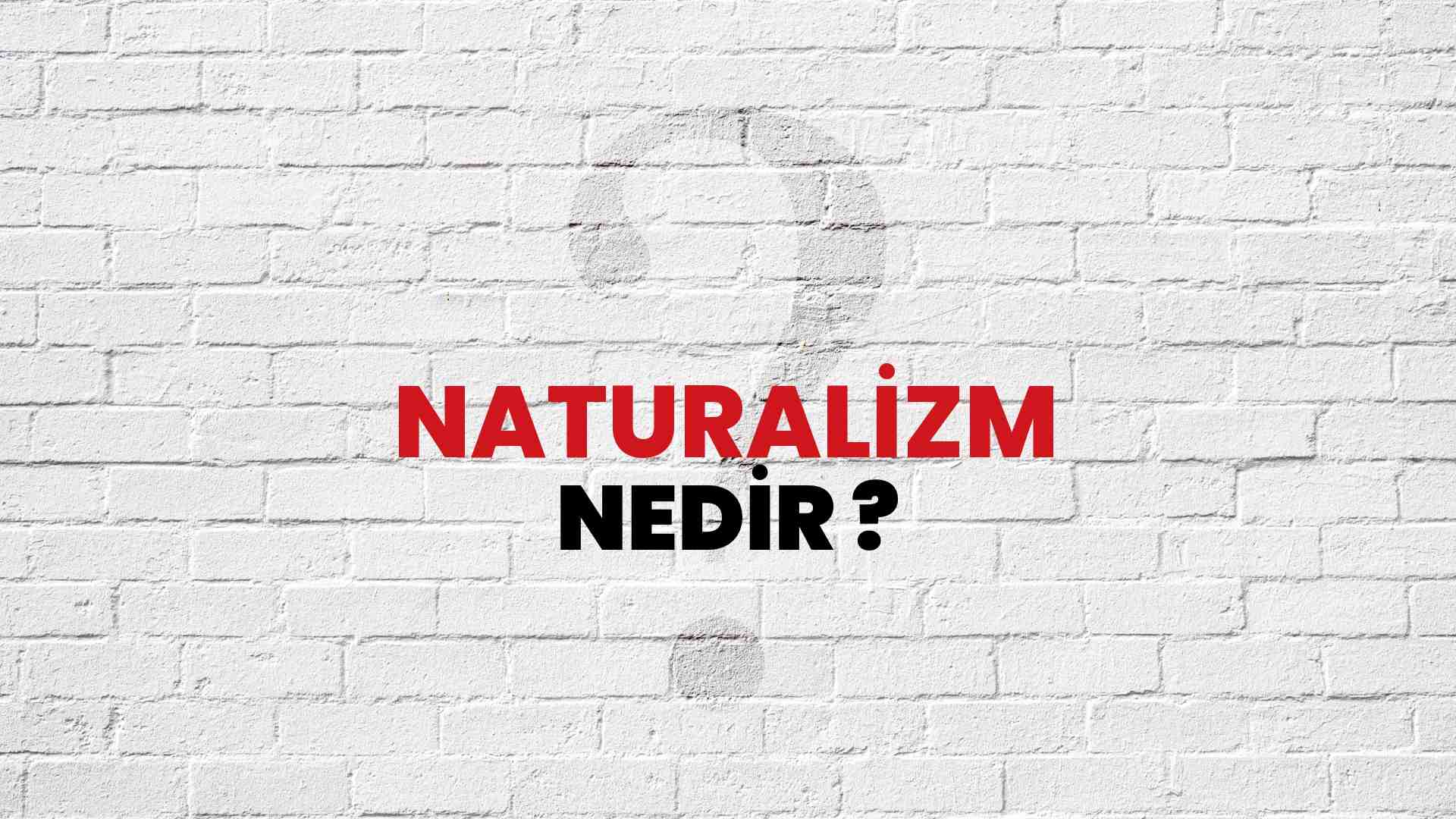 Naturalizm nedir?