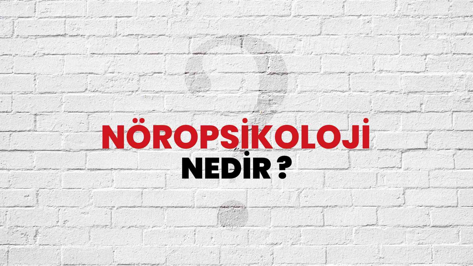 Nöropsikoloji nedir?