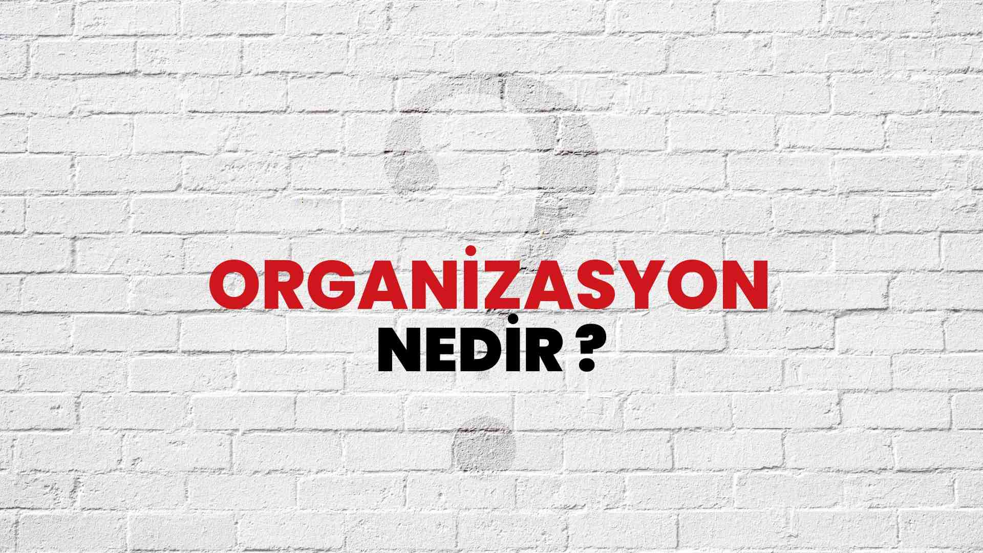 Organizasyon nedir?