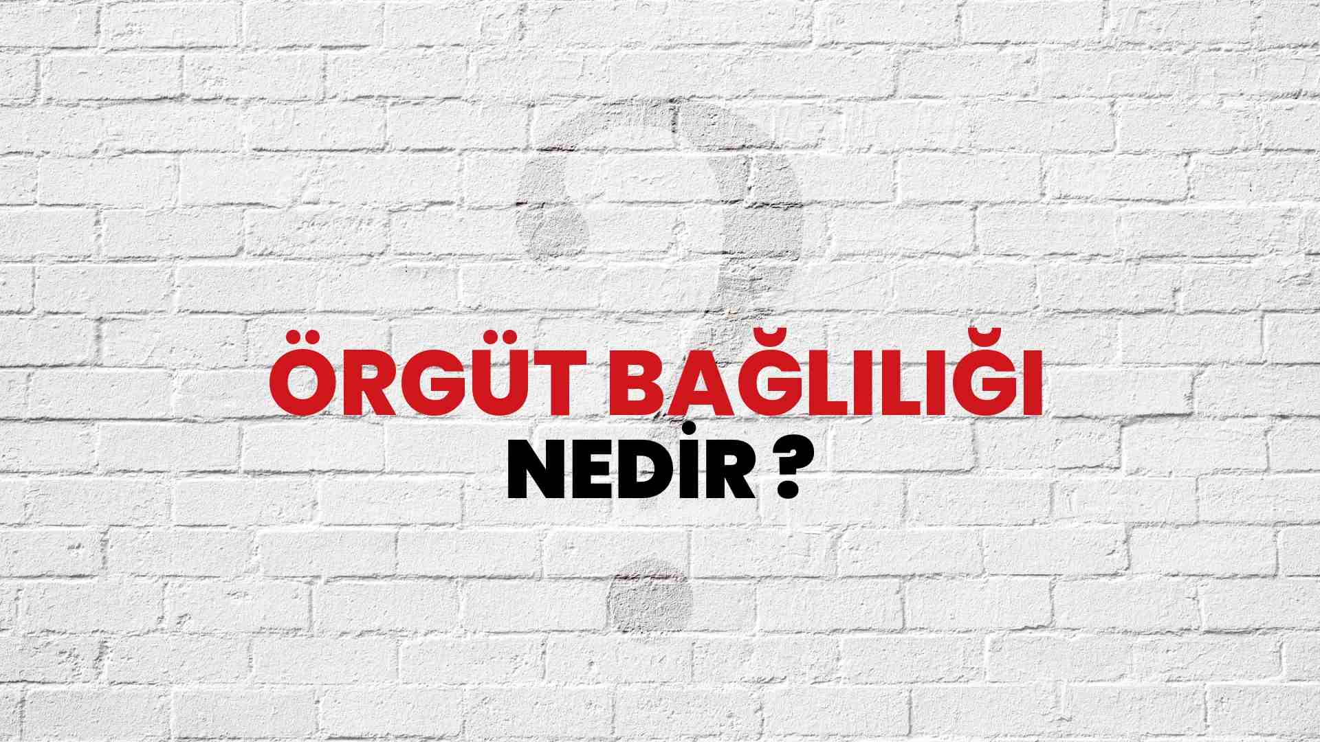 Örgüt Bağlılığı nedir?