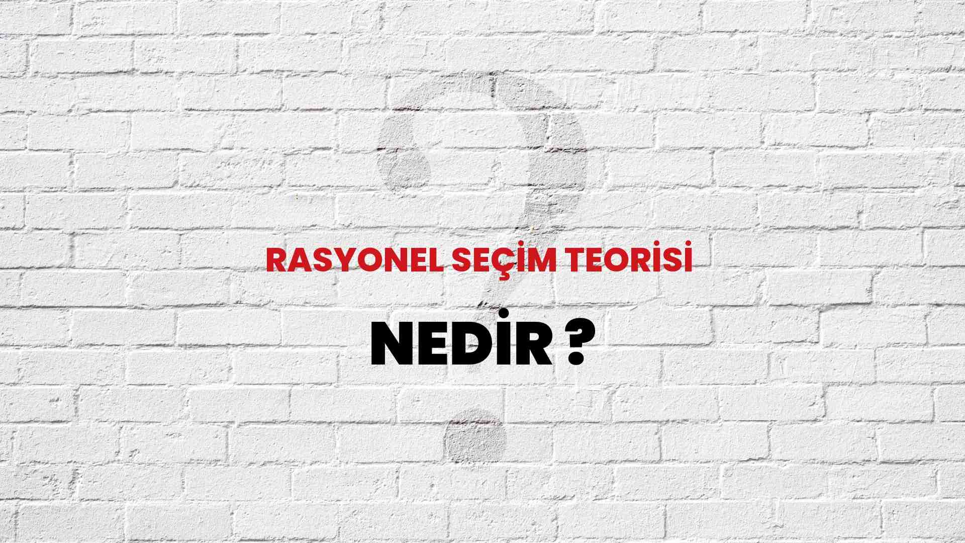 rasyonel-se-im-teorisi-nedir-ne-demek-t-b-tak-ansiklopedi-ile