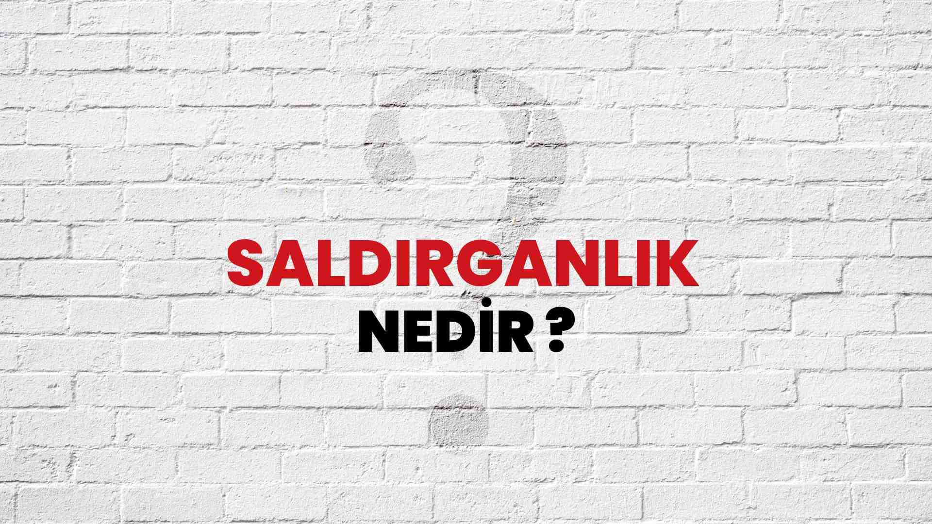 Saldırganlık nedir?