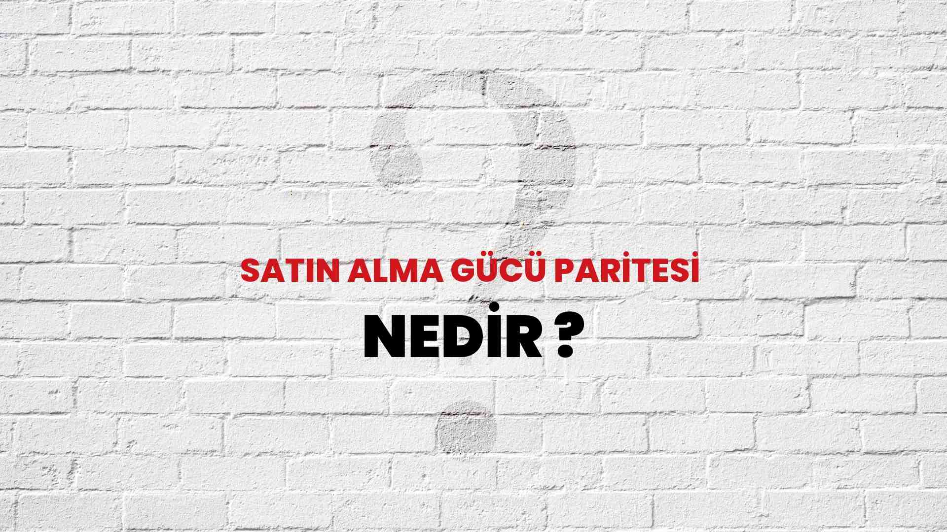Satın Alma Gücü Paritesi nedir?