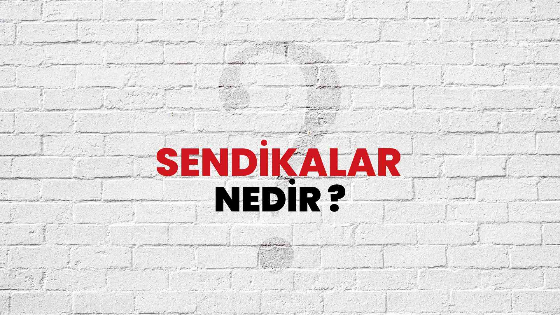 Sendikalar Nedir, Ne Demek? TÜBİTAK Ansiklopedi Ile Sendikalar Ne ...