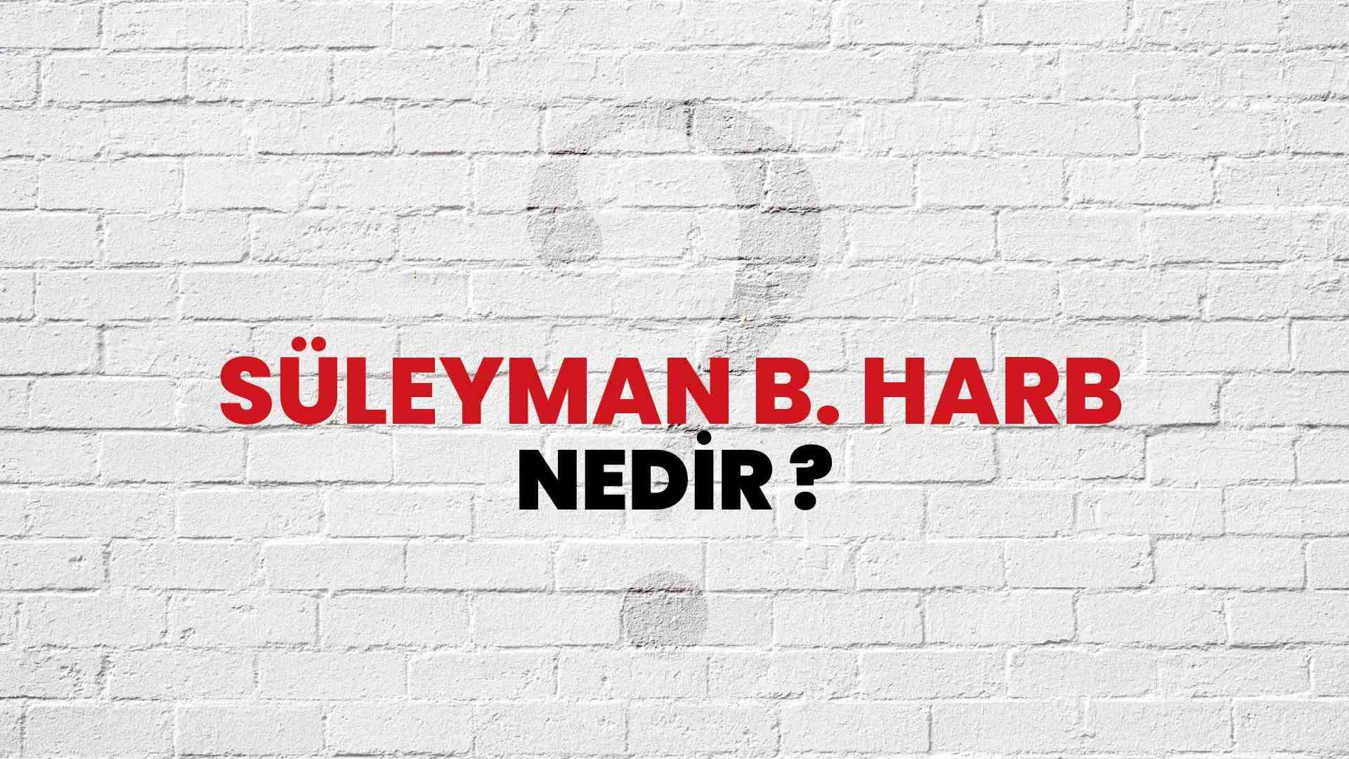 s-leyman-b-harb-nedir-ne-demek-tdv-slam-ansiklopedisi-ne-g-re