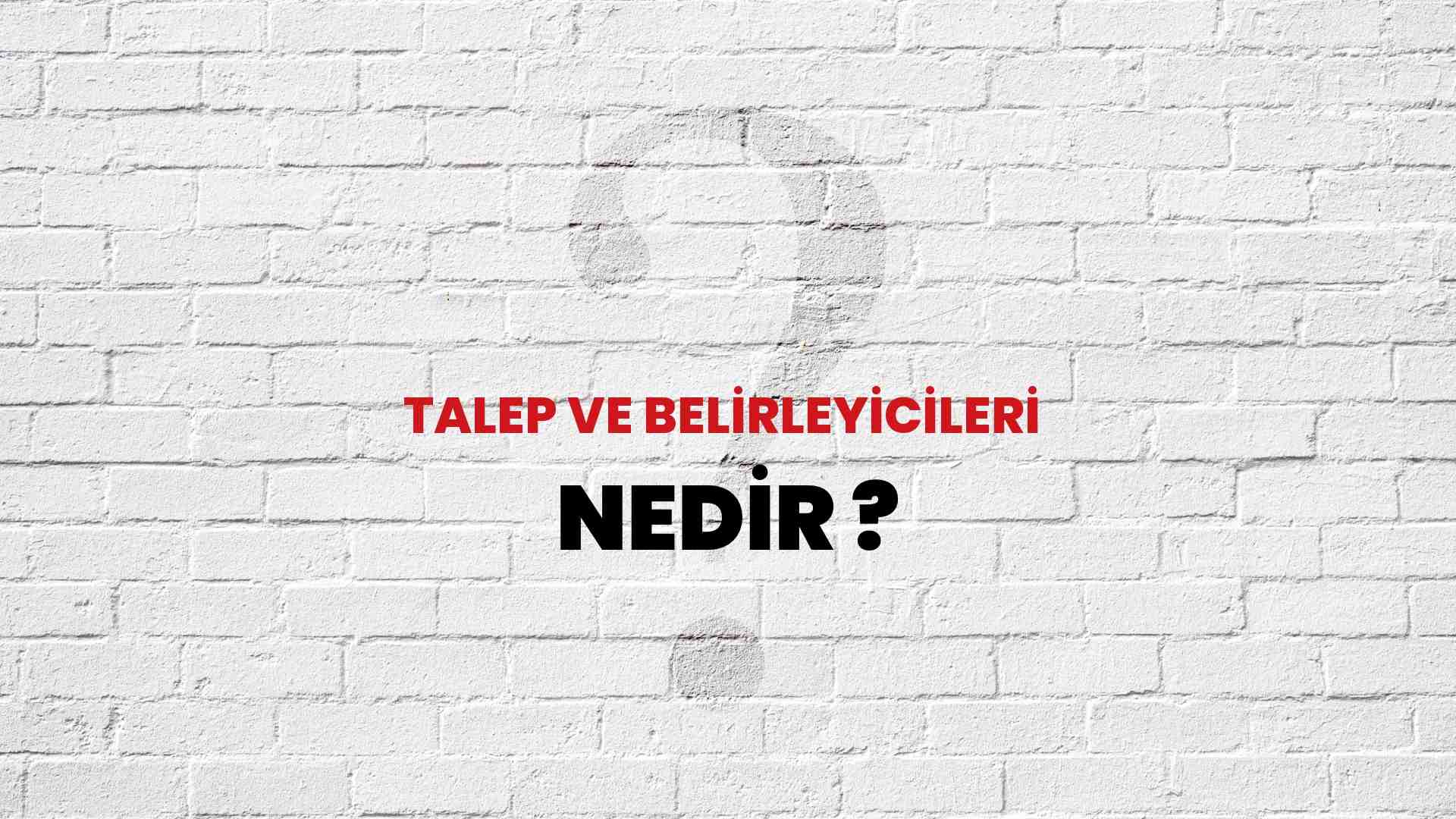 Talep Ve Belirleyicileri nedir?