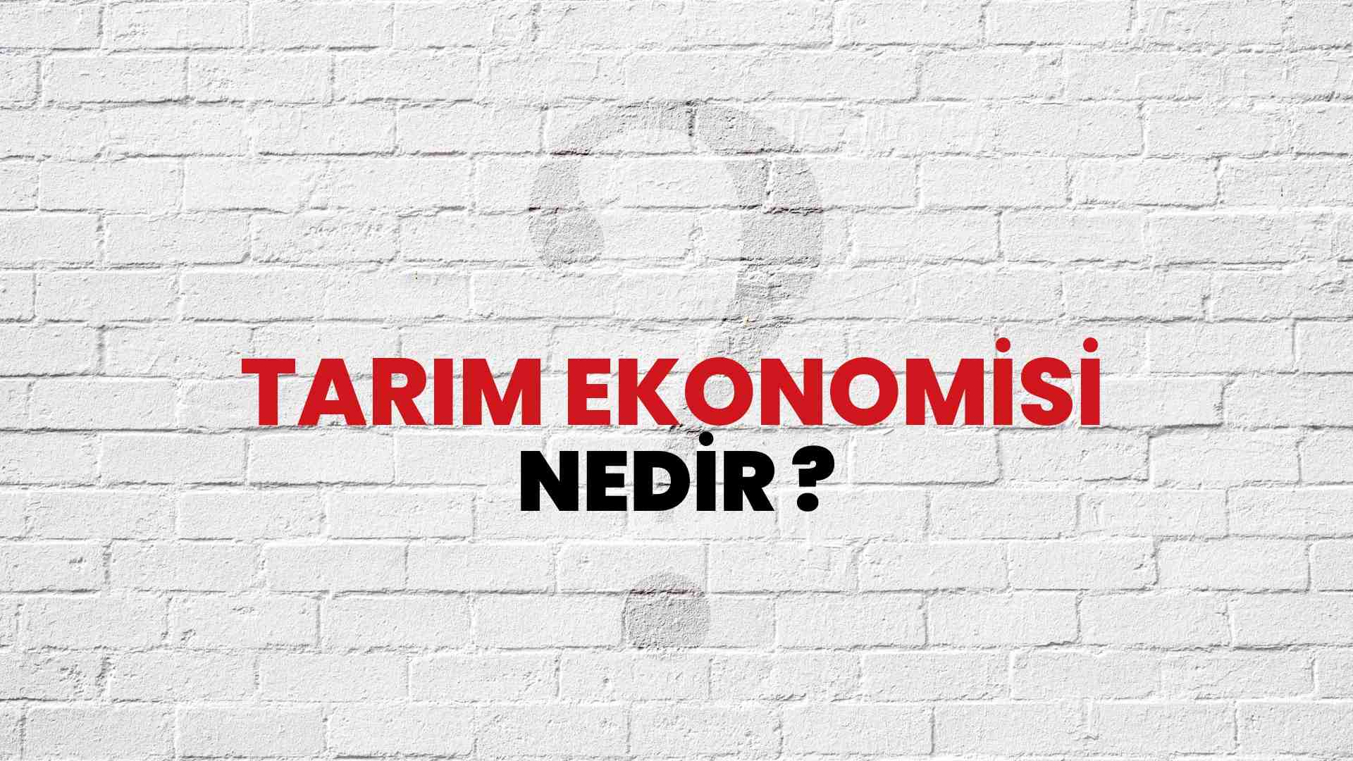 Tarım Ekonomisi nedir?