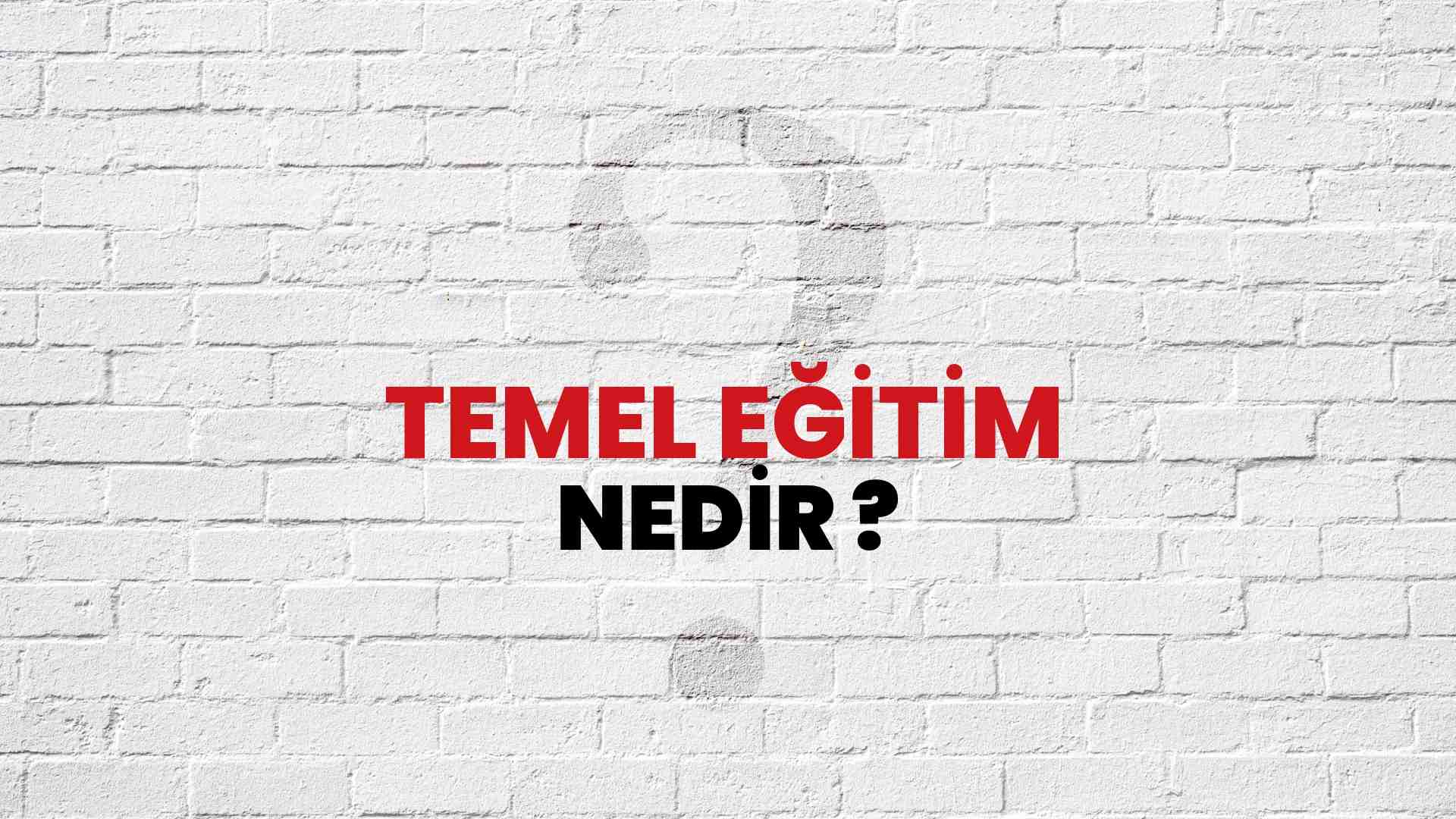 Temel Eğitim nedir?