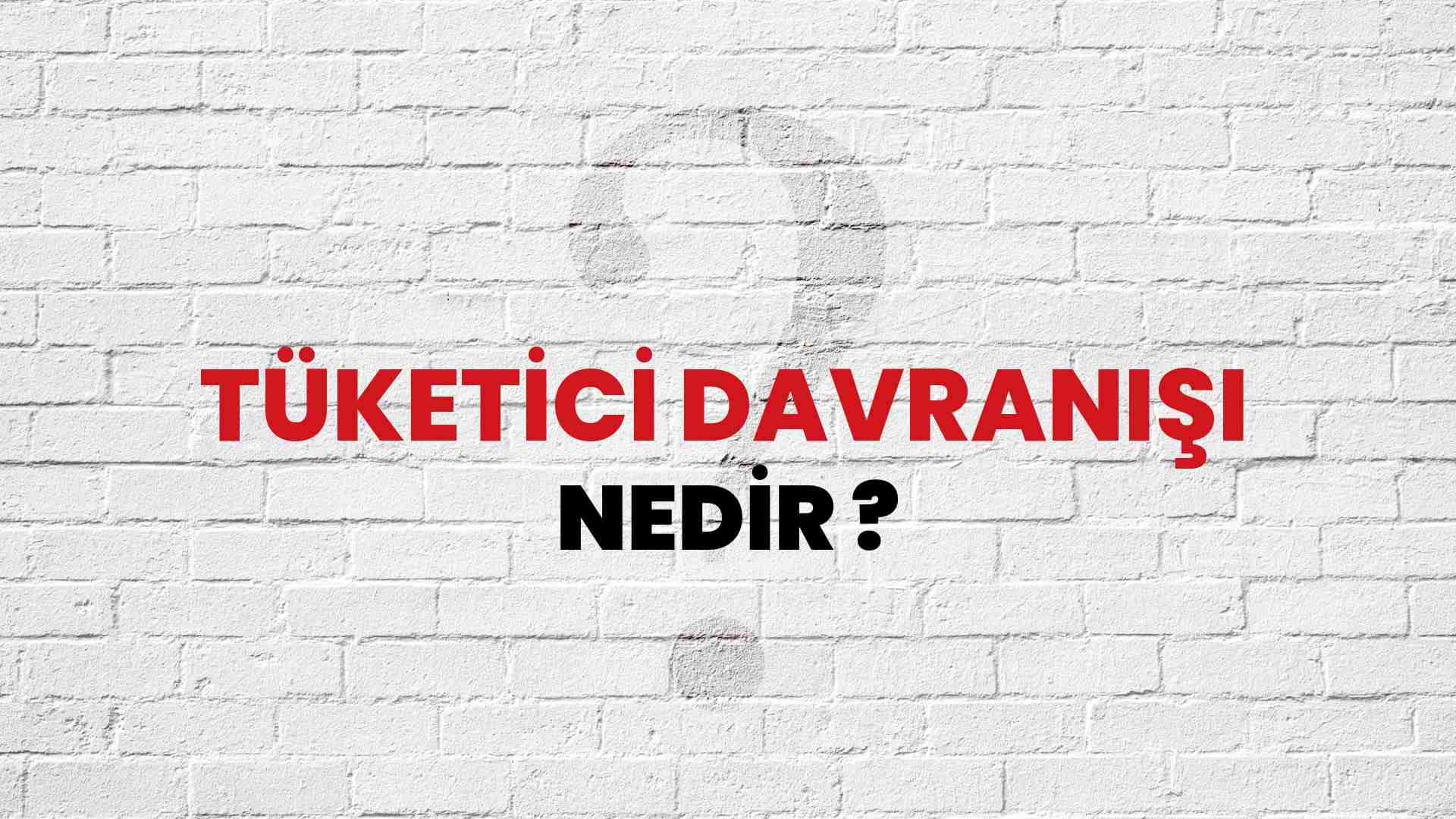 Tüketici Davranışı nedir?