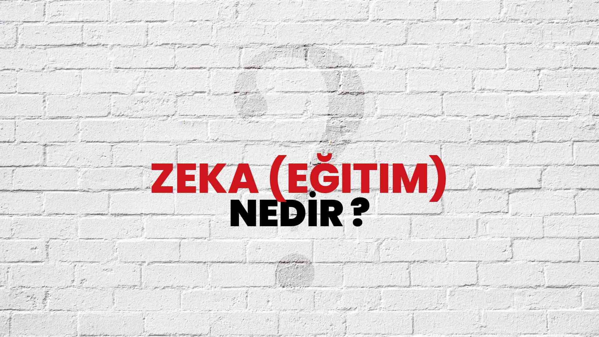 Zeka (Eğitim) nedir?