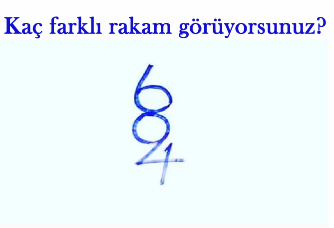 Resimde kaç rakam görüyorsun?