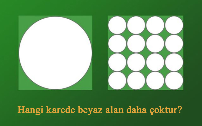 Hangi karenin içinde daha çok beyaz alan vardır?