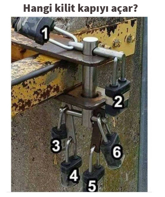 Bütün detayları iyice inceledikten sonra soruyu cevaplayın.