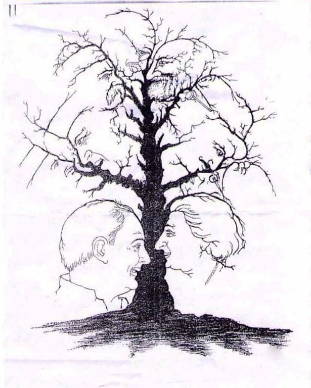 Ağaçta gizli kaç yüz var?