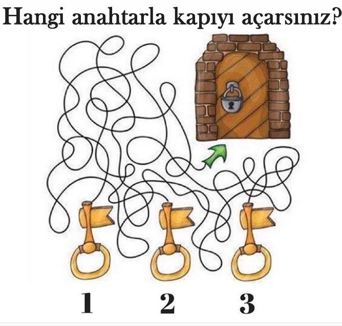 Hangi anahtar kapıyı açar?