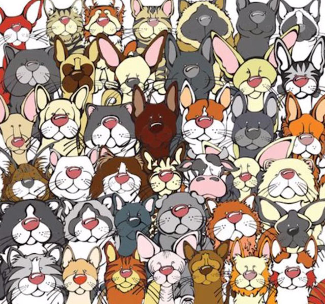 Resimde inek nerede?