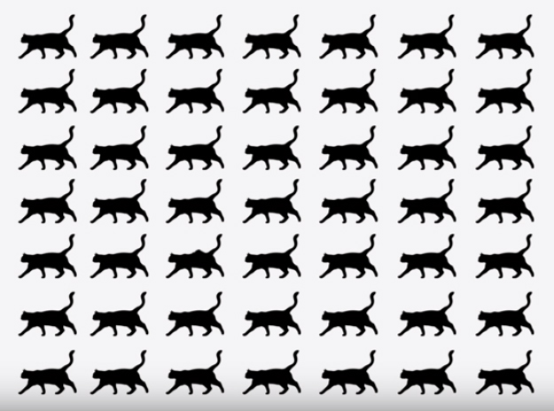 Bir resim farklı. Hangisi olduğunu bulabilir misin?