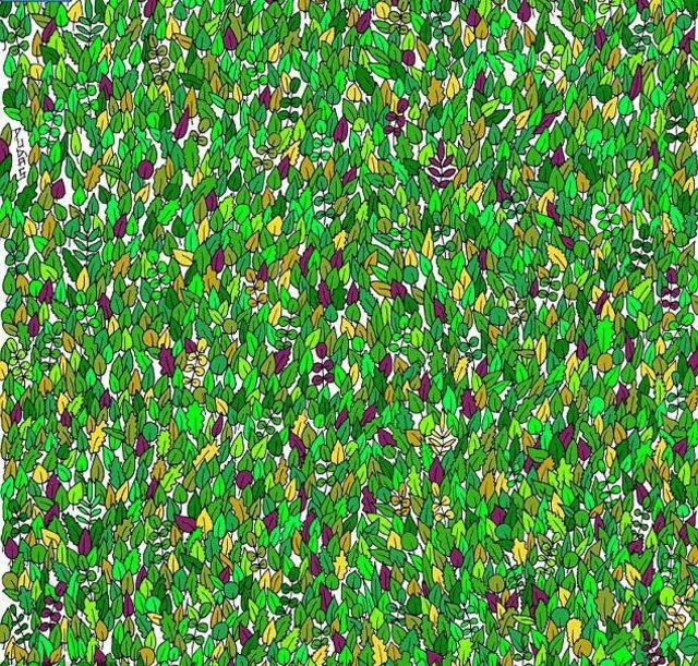 Resimdeki kurbağayı bulun.