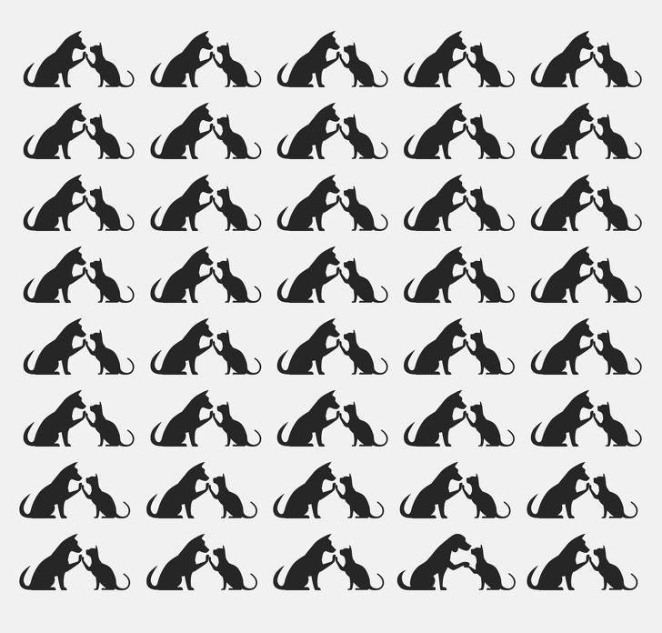 Bir resim farklı. Hangisi olduğunu bulabilir misin?