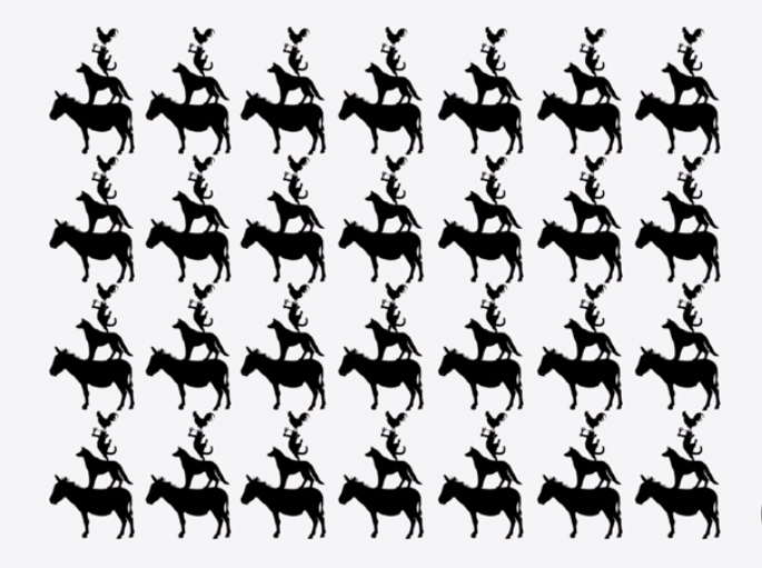 Bir resim farklı. Hangisi olduğunu bulabilir misin?