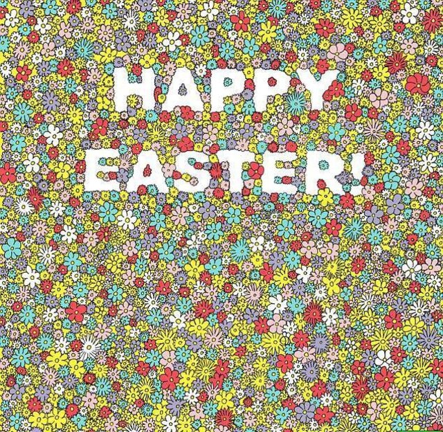 Resimdeki arıyı bulun.