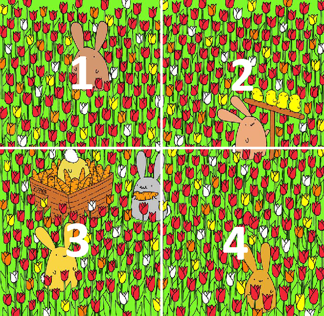 Paskalya yumurtası nerede?