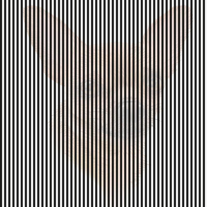 Burada ne görüyorsun?