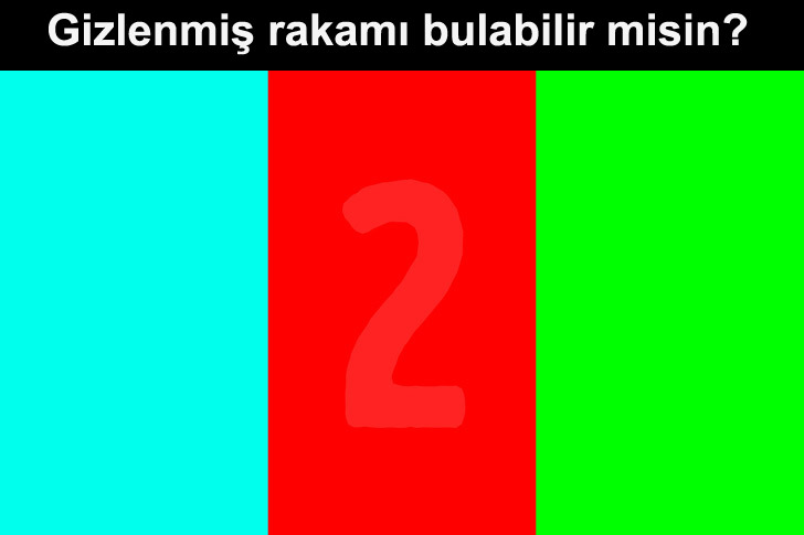 Görünmeyen rakam kaç?