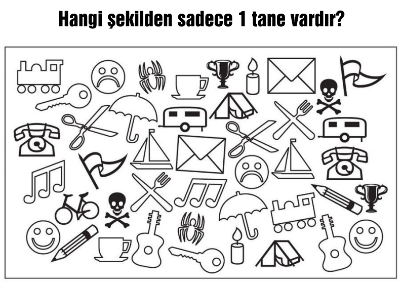 Çifti olmayan şekil hangisidir?