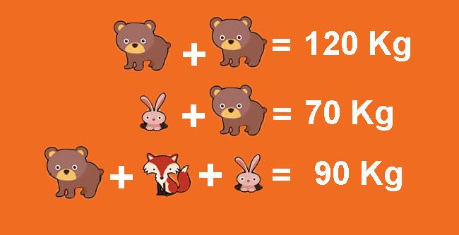 Hayvanların ağırlıklarının toplamı nedir?