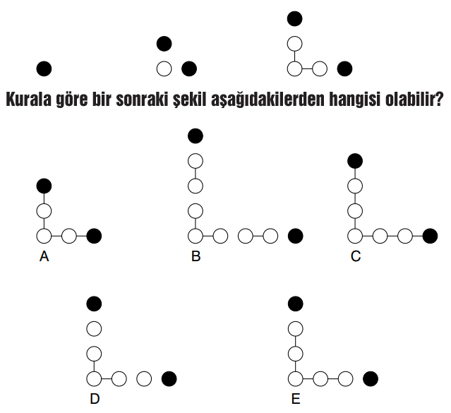 Bir sonraki şekil ne olmalıdır?