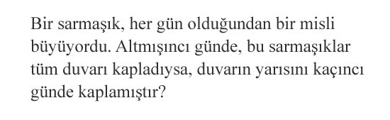 Duvarın yarısı kaçıncı günde kaplanır?