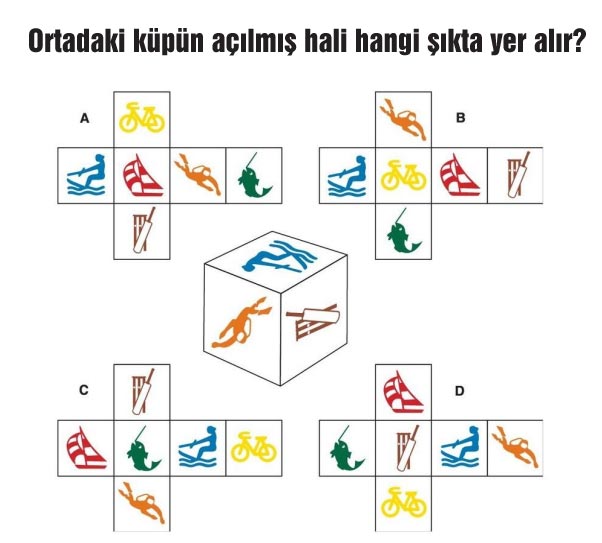 Kübün açılmış hali hangi şıkta?