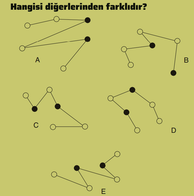 Hangisi farklıdır?