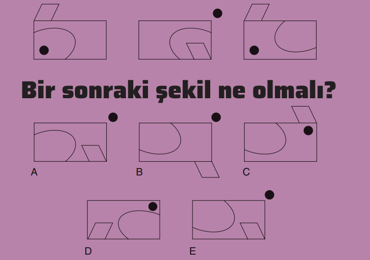 Bir sonraki şekil ne olmalı?