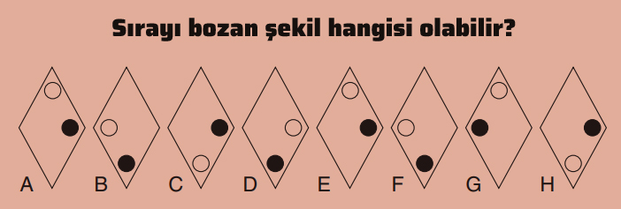 Sırayı bozan şekil hangisi?