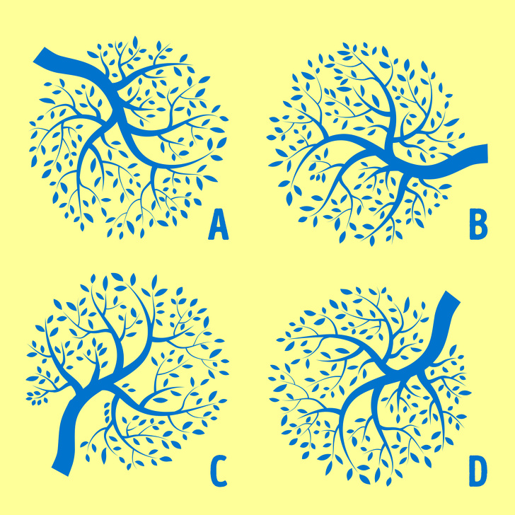 Hangi 2 ağaç birbirine benziyor?